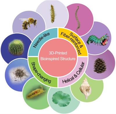 Frontiers | Recent Progress In 3D Printing Of Bioinspired Structures